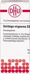 PZN-DE 02931464, DHU-Arzneimittel DHU Solidago virgaurea D 3 Globuli 10 g,