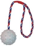 Trixie Naturgummiball am Seil - 7 cm / 30 cm