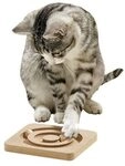 Karlie Kitty Brain Train Roundabout