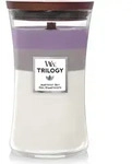 Trilogy WoodWick Amethyst Sky Kerze gro&szlig;