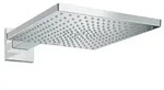 Hansgrohe Raindance Kopfbrause inklusive Duscharm Chrom 26239000