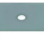 LED Deckenleuchte Reality Camillus Wei&szlig; RE R62921001
