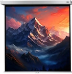 Celexon 1090778, celexon Rolloleinwand Professional Plus 1:1, 220 x 220 cm