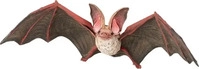 papo Wildtiere der Welt 50239 Fledermaus Spielfigur