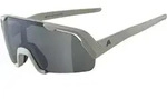 ALPINA ROCKET YOUTH COOL-GREY MATT 