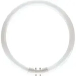 Philips | 2GX13-Fassung | Leuchtstoffr&ouml;hre | 18mm | 23,5W
