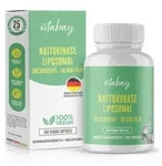 Nattokinase hochdosiert 20.000 FU/g