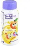 Nutrinidrink Smoothie Sommerfr&uuml;chte