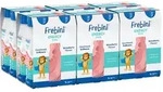 Frebini energy DRINK Erdbeere Trinkflasche