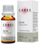 Ceres Esche Fraxinus
