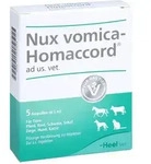 Nux Vomica Homaccord Vet