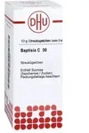 Baptisia C30