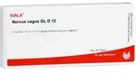 Nervus Vagus Gl D12