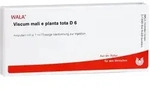 Viscum Mali e planta tota D 6 Ampullen