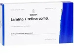 LAMINA/Retina comp. Ampullen