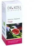 Gemmo Mazerat Feige Dr. Koll Ficus carica Tropfen