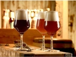 St&ouml;lzle Lausitz CRAFT BEER Bierglas 0,3 l 6er Set