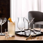 Villeroy & Boch PURISMO BAR Stamper 2er Set