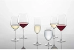 Schott Zwiesel FOR YOU Burgunder Rotweinglas 630 ml 4er Set