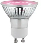 PAULMANN LED Plant GU10 3,5W 230V