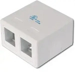 DIGITUS Konsolidierungs-Punkt Geh&auml;use f&uuml;r 2x Keyst. Module reinwei&szlig;, 2-port