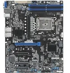 ASUS P13R-E/10G-2T