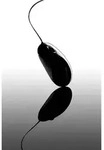 TARGUS Compact Optical Mouse, USB