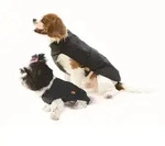 Fashion Dog Regenmantel f&uuml;r Hunde - Schwarz - 70 cm