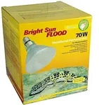 Lucky Reptile - Bright Sun FLOOD Desert - 70W