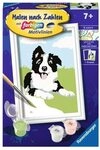 RAVENSBURGER 23759 Malen nach Zahlen - Border Collie Welpe