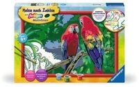 RAVENSBURGER 23770 Malen nach Zahlen - Bunte Papageien