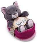 NICI 49746 Kuscheltier Sleeping Pets graue Katze 12cm im rosa K&ouml;rbchen GREEN