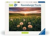 RAVENSBURGER 12000592 Puzzle 500 Teile Pusteblumen im Sonnenuntergang