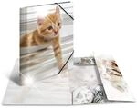 HERMA 19328 Sammelmappe Glossy Tiere A4 PP Katzen