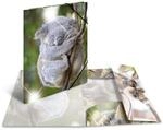 HERMA 19323 Sammelmappe Glossy Tiere A4 PP Koala