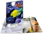 HERMA 19324 Sammelmappe Glossy Tiere A4 PP Fische