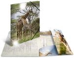 HERMA 19322 Sammelmappe Glossy Tiere A4 PP Giraffe