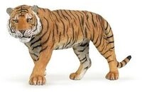 PAPO 50004 Tiger