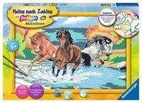 RAVENSBURGER 28492 Malen nach Zahlen Stolze Wildpferde