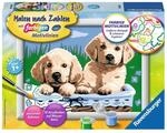 Ravensburger 27839 CreArt, Malen nach Zahlen Kinder - S&uuml;&szlig;e Hundewelpen