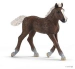 SCHLEICH 13899 Schwarzw&auml;lder Fohlen