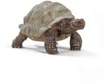 schleich&reg; 14824 WILD LIFE Riesenschildkr&ouml;te