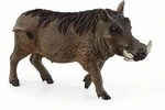 SCHLEICH 14843 Warzenschwein