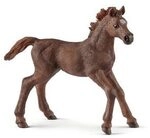 SCHLEICH 13857 Englisch Vollblut Fohlen