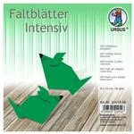 URSUS Faltbl&auml;tter Intensivfarbe, 15 x 15 cm, 100 Blatt, dunkelgr&uuml;n