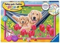 RAVENSBURGER20164 Malen nach Zahlen Kuschelpause