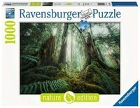 RAVENSBURGER 17494 Erwachsenenpuzzle 1000 Teile Faszinierender Wald