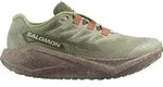 Salomon Herrenlaufschuhe Aero Blaze 3 GRVL GTX - hellgr&uuml;n / 45 1/3