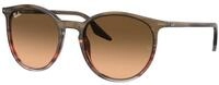 Ray - Ban Unisex Ray - Ban RB2204 13953B Sonnenbrillen Acetat Braun Rosa Pantos