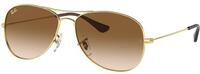 Ray - Ban Herren Ray - Ban RB3362 COCKPIT 001/51 Sonnenbrillen Metall Gold Pilot